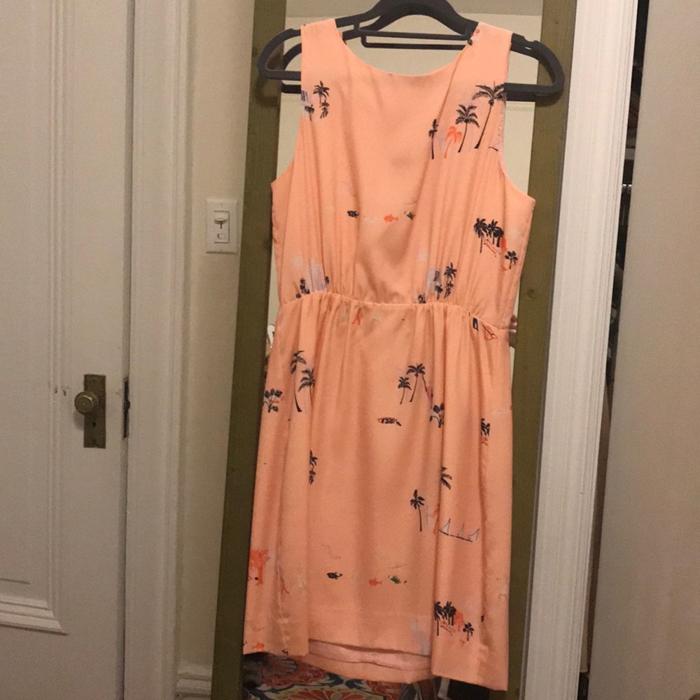 Salmon pink Jcrew factory printed silk dress